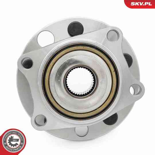 29SKV697 - Wheel Bearing Kit 