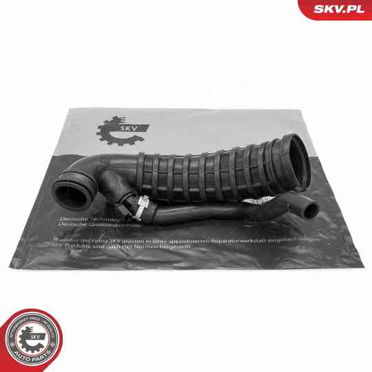 54SKV808 - Radiator Hose 