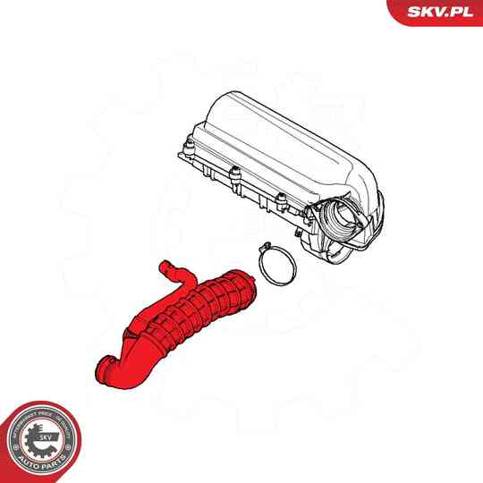 54SKV808 - Radiator Hose 