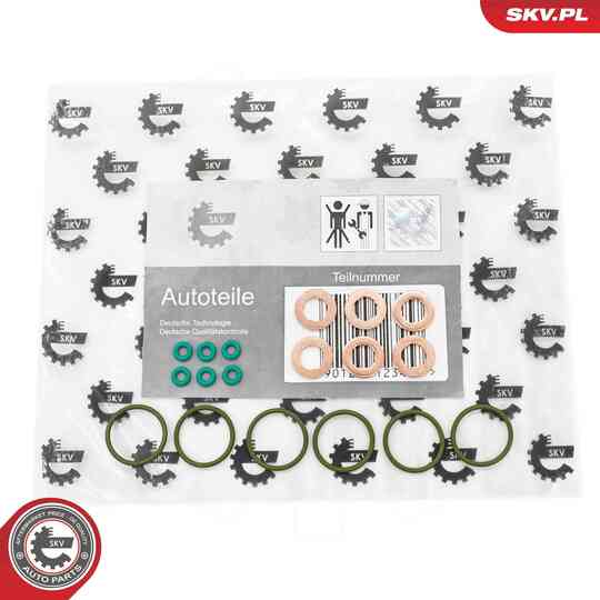 53SKV200 - Seal Ring Set, injection valve 