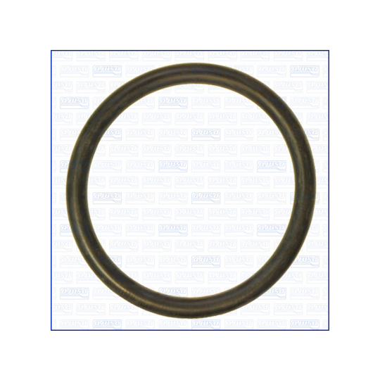 16097500 - Seal, coolant pipe 