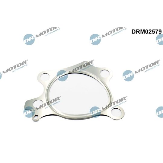 DRM02579 - Gasket, exhaust pipe 