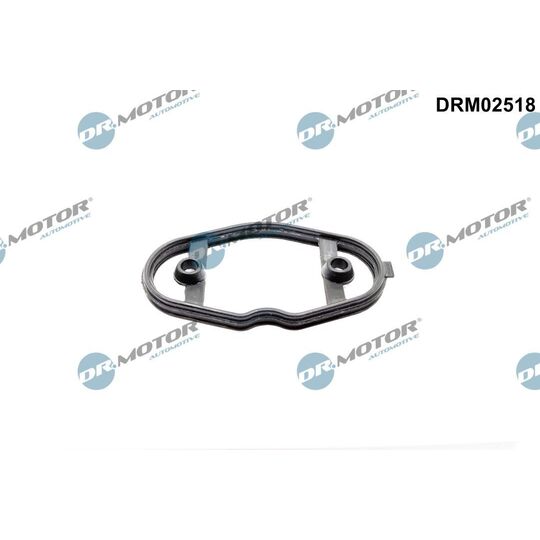 DRM02518 - Gasket, fuel pump 