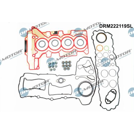 DRM222119SL - Full Gasket Set, engine 