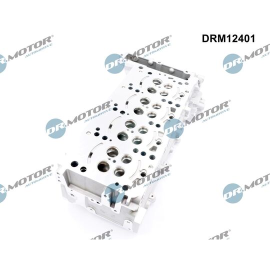 DRM12401 - Cylinder Head 