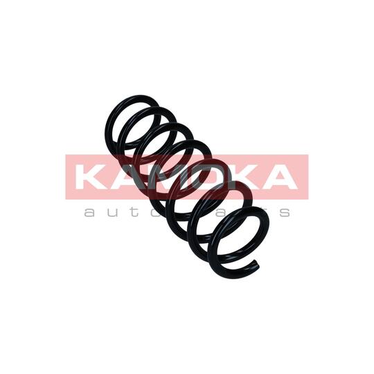 2110419 - Coil Spring 