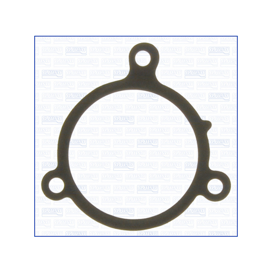 00425100 - Gasket, water pump 