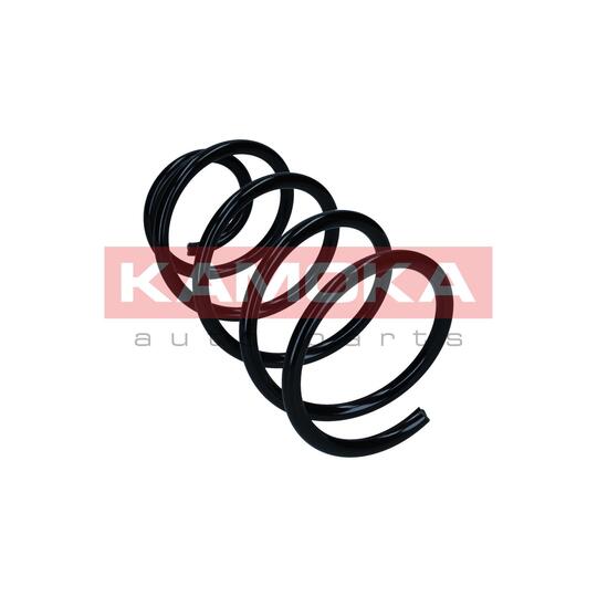 2110868 - Coil Spring 