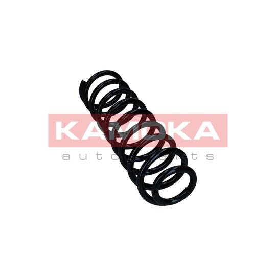 2110617 - Coil Spring 