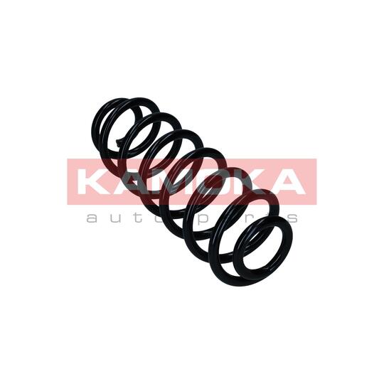 2120616 - Coil Spring 