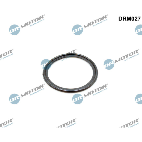 DRM027 - Seal Ring, oil cooler 