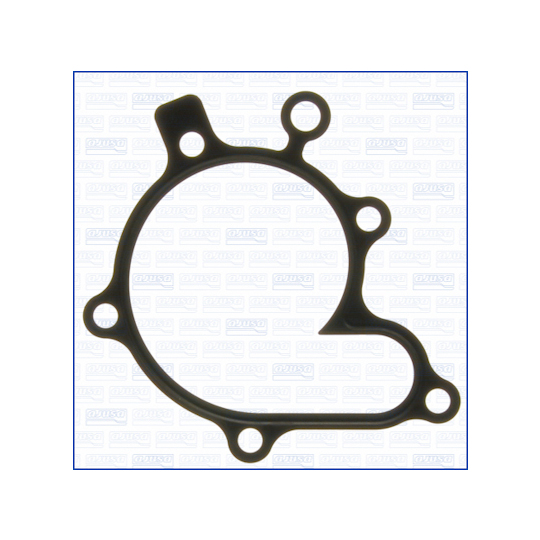 00704300 - Gasket, water pump 