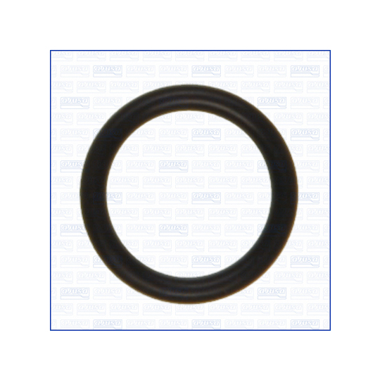 16083400 - O-ring, instrutning 