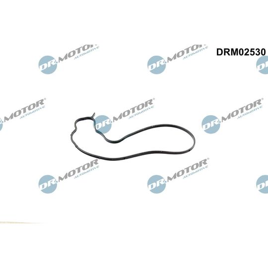 DRM02530 - Gasket, water pump 