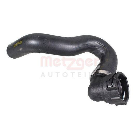 2422097 - Radiator Hose 