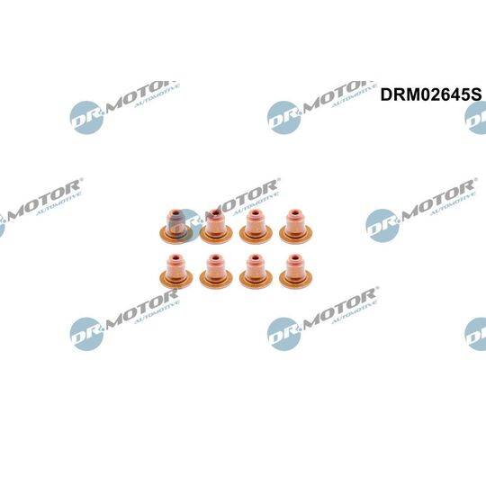 DRM02645S - Seal Ring, valve stem 