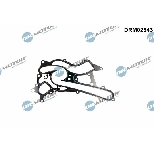 DRM02543 - Packning, vattenpump 