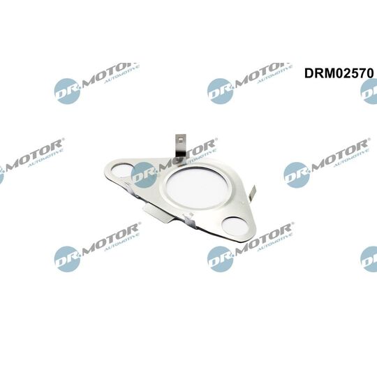 DRM02570 - Gasket, EGR valve pipe 