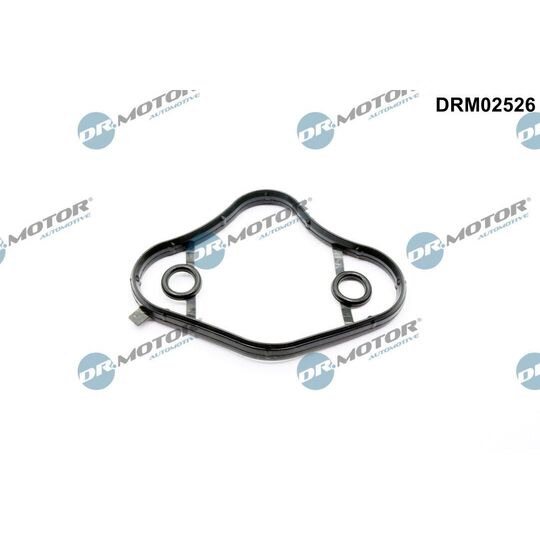 DRM02526 - Gasket, fuel pump 