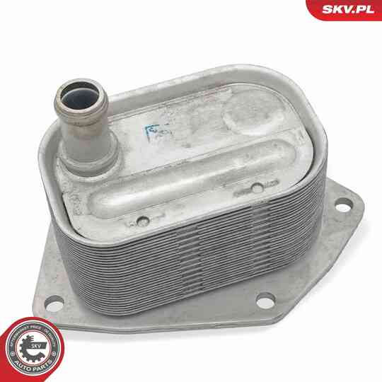 31SKV278 - Oil Cooler, engine oil 