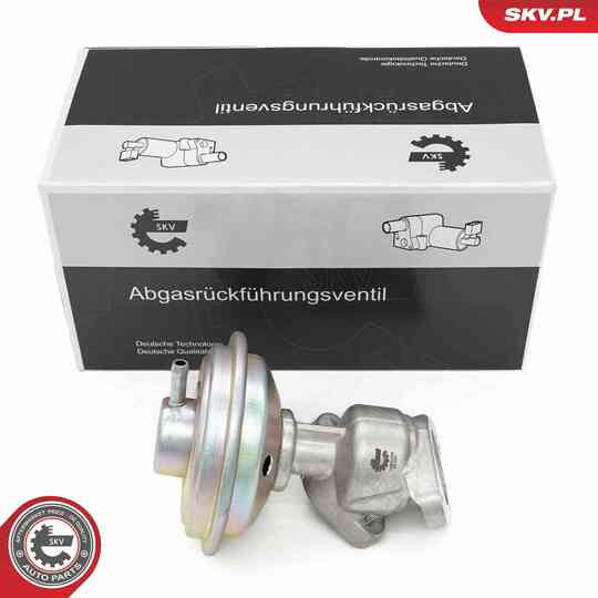 14SKV258 - EGR Valve 