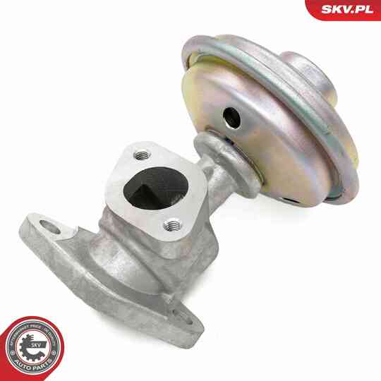 14SKV258 - EGR Valve 