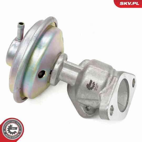 14SKV258 - EGR Valve 