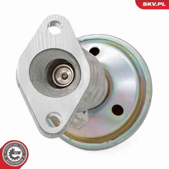 14SKV258 - EGR Valve 