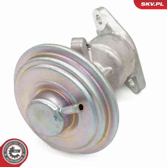 14SKV258 - EGR Valve 