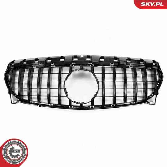 66SKV557 - Radiator Grille 