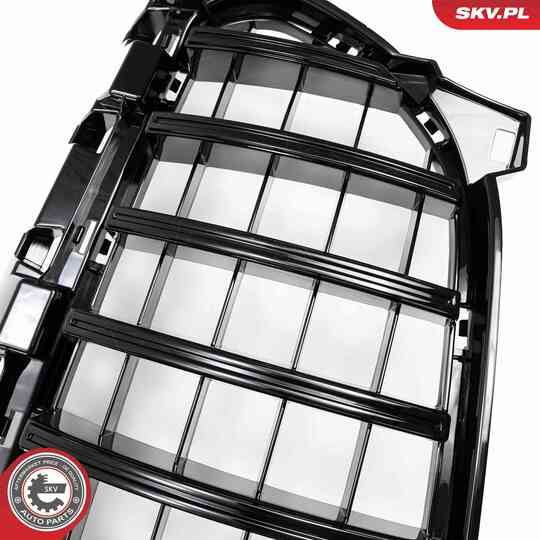 66SKV557 - Radiator Grille 