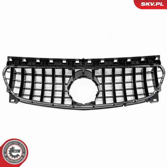 66SKV557 - Radiator Grille 