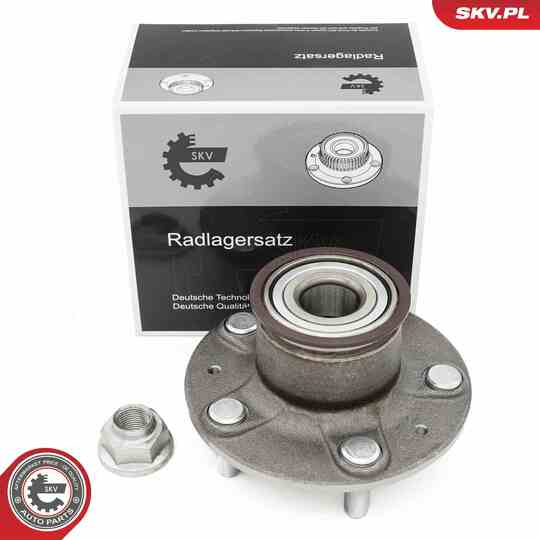 29SKV667 - Wheel Bearing Kit 