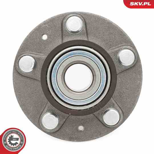 29SKV667 - Wheel Bearing Kit 