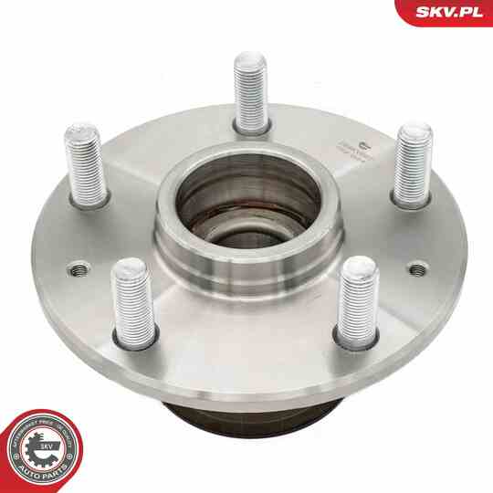 29SKV667 - Wheel Bearing Kit 