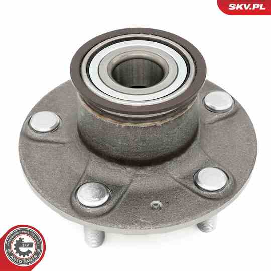 29SKV667 - Wheel Bearing Kit 