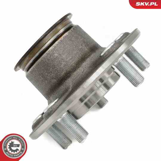 29SKV667 - Wheel Bearing Kit 