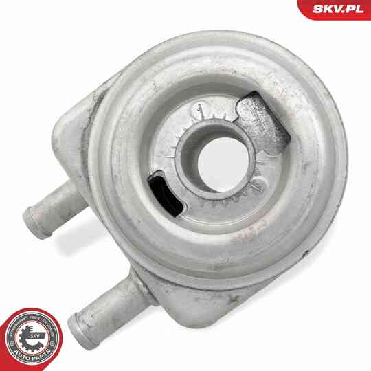 31SKV274 - Oil Cooler, engine oil 