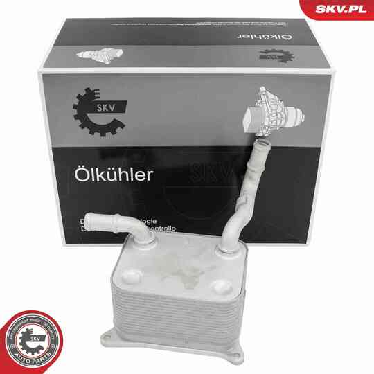 31SKV323 - Oil Cooler, engine oil 