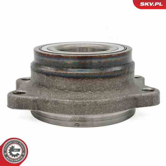 29SKV672 - Wheel Bearing Kit 