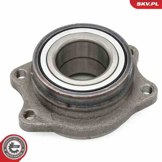 29SKV672 - Wheel Bearing Kit 