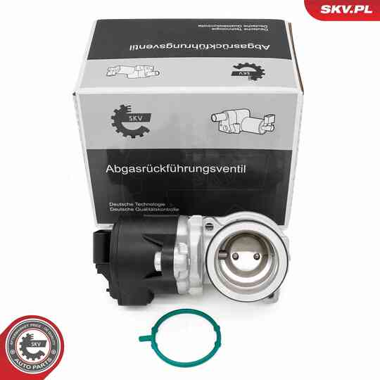 14SKV275 - EGR Valve 