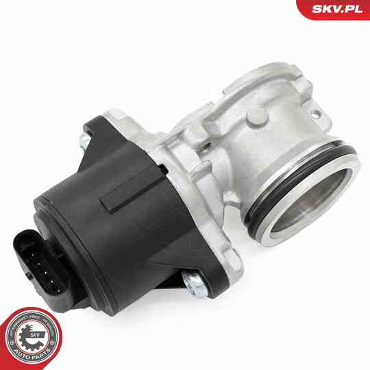 14SKV275 - EGR Valve 