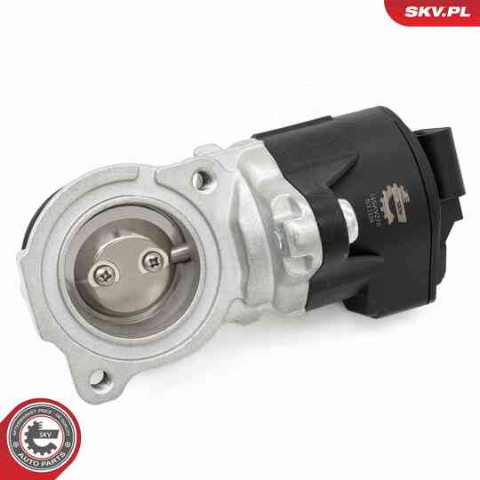 14SKV275 - EGR Valve 