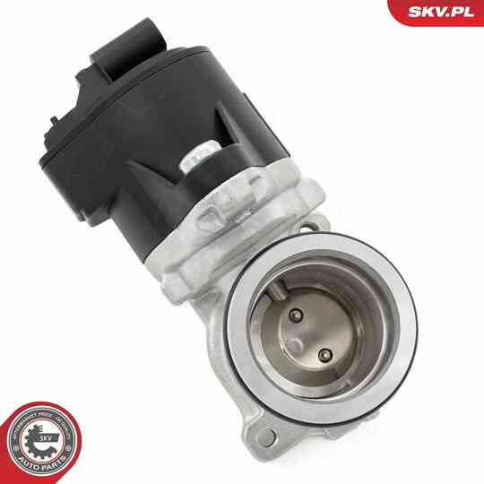 14SKV275 - EGR Valve 