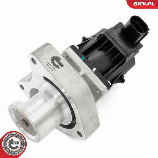 14SKV254 - EGR Valve 