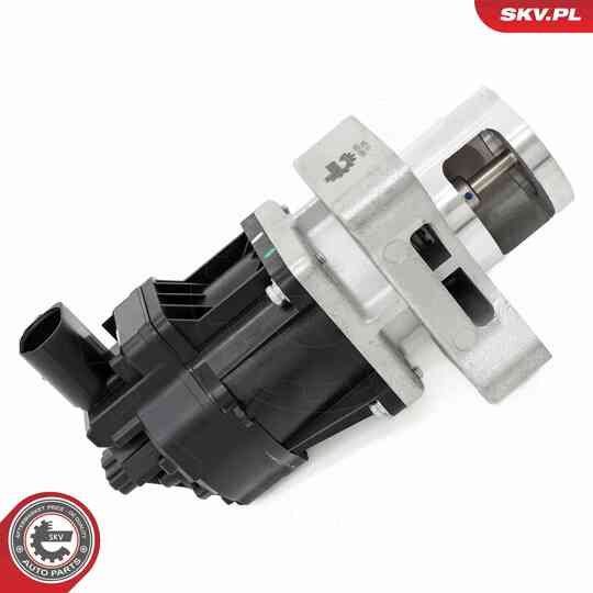 14SKV254 - EGR Valve 