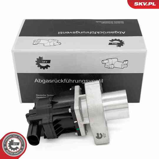 14SKV254 - EGR Valve 