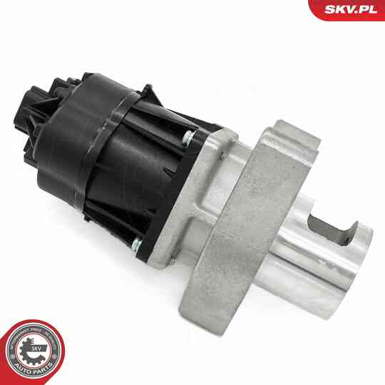 14SKV254 - EGR Valve 