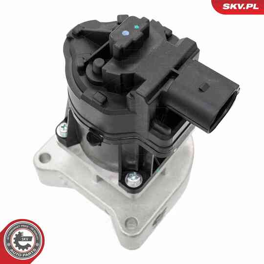 14SKV254 - EGR Valve 